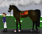Dare to Dream Stakes G3 by WildOracle