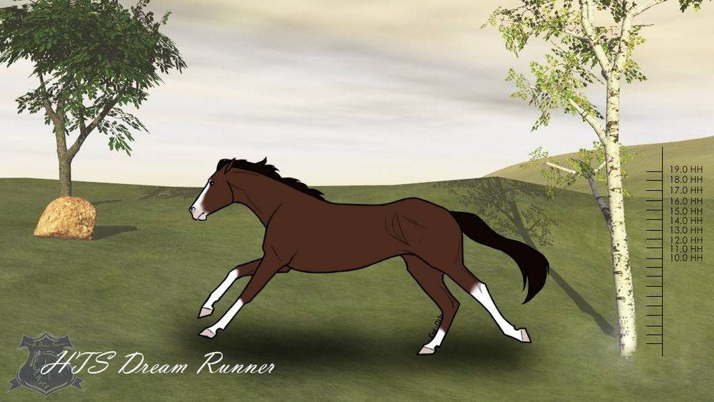 HTS Dream Runner - OLD REF