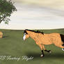 HTS Fantasy Flight - OLD REF