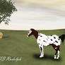 HTS Rudolph