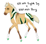 7504 Padro Foal Design by WildOracle