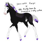 6868 Padro Foal Design