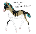 7512 Padro Foal Design by WildOracle