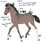 7838 Padro Foal Design by WildOracle