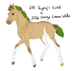 4710 Padro Foal Redesign by WildOracle