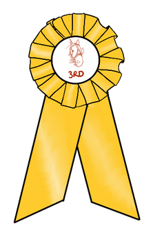 Third Place Ribbon
