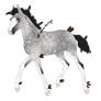 114 Padro Redesign