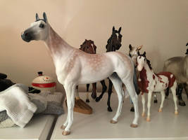 custom breyer: Tapping Into Love