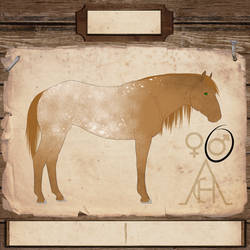 MYO - American Clay Horse