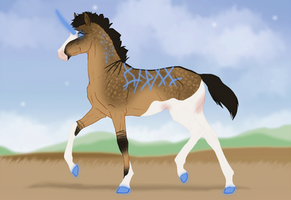 1033 Padro Foal Redesign