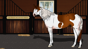 |A| I Want My Money Back