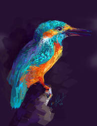 Kingfisher