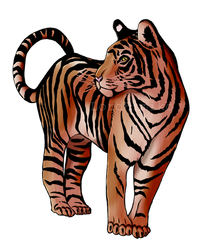 Realistic tiger