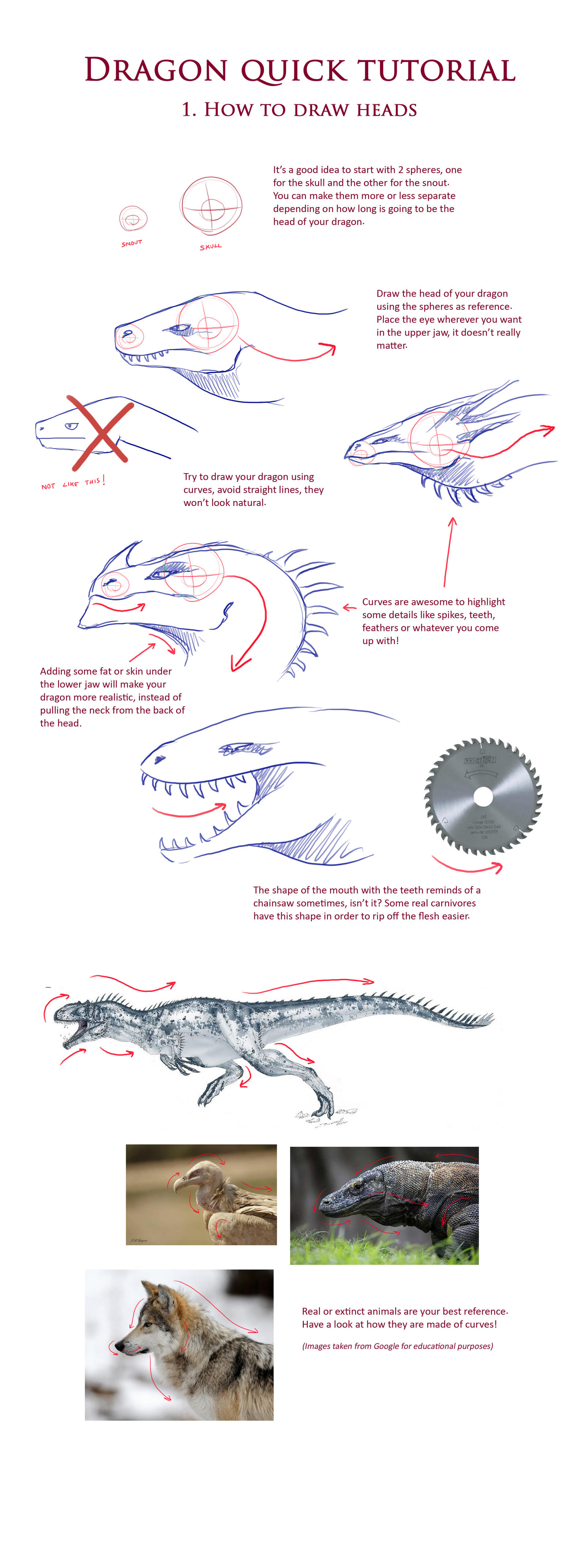 Dragon TUTORIAL: Heads by Dragolisco on DeviantArt