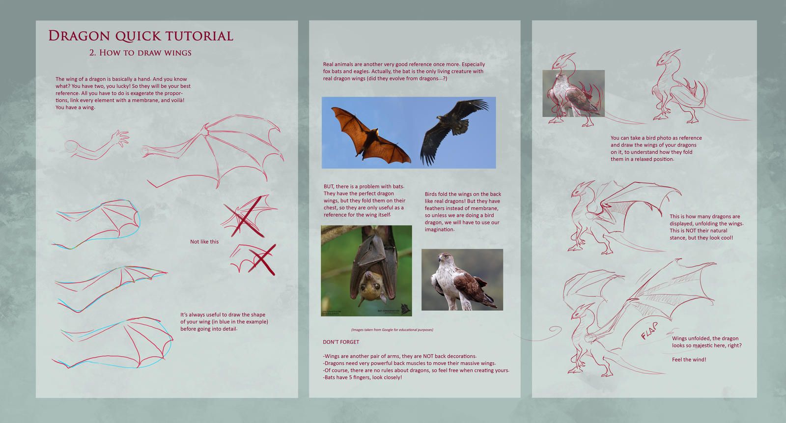 Dragon TUTORIAL: Wings by Dragolisco on DeviantArt