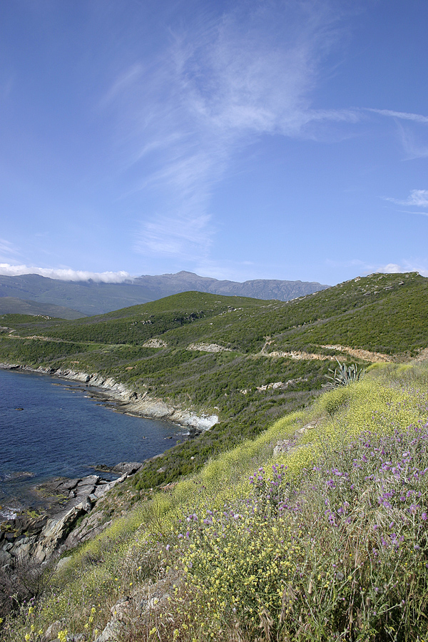 Mountains and Sea