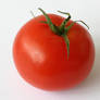 Tomato 01