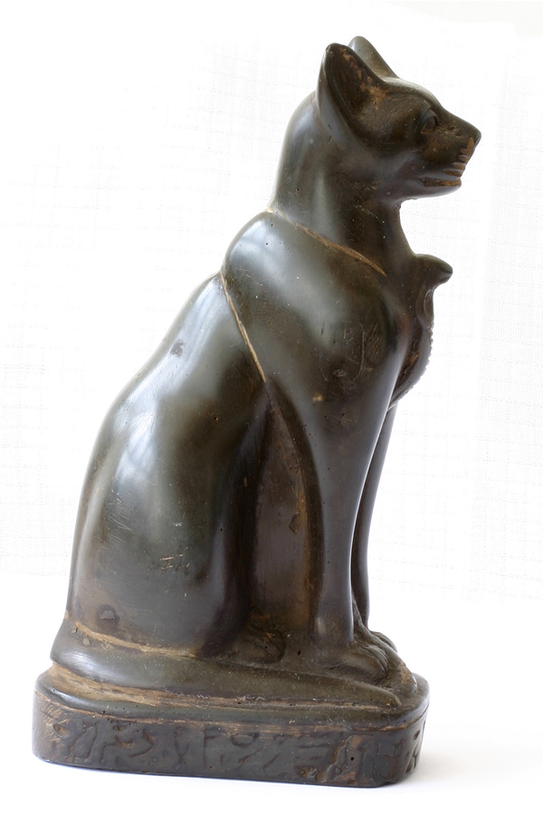 Egyptian cat