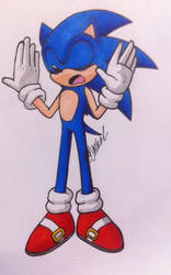 Sonic the hedgehog