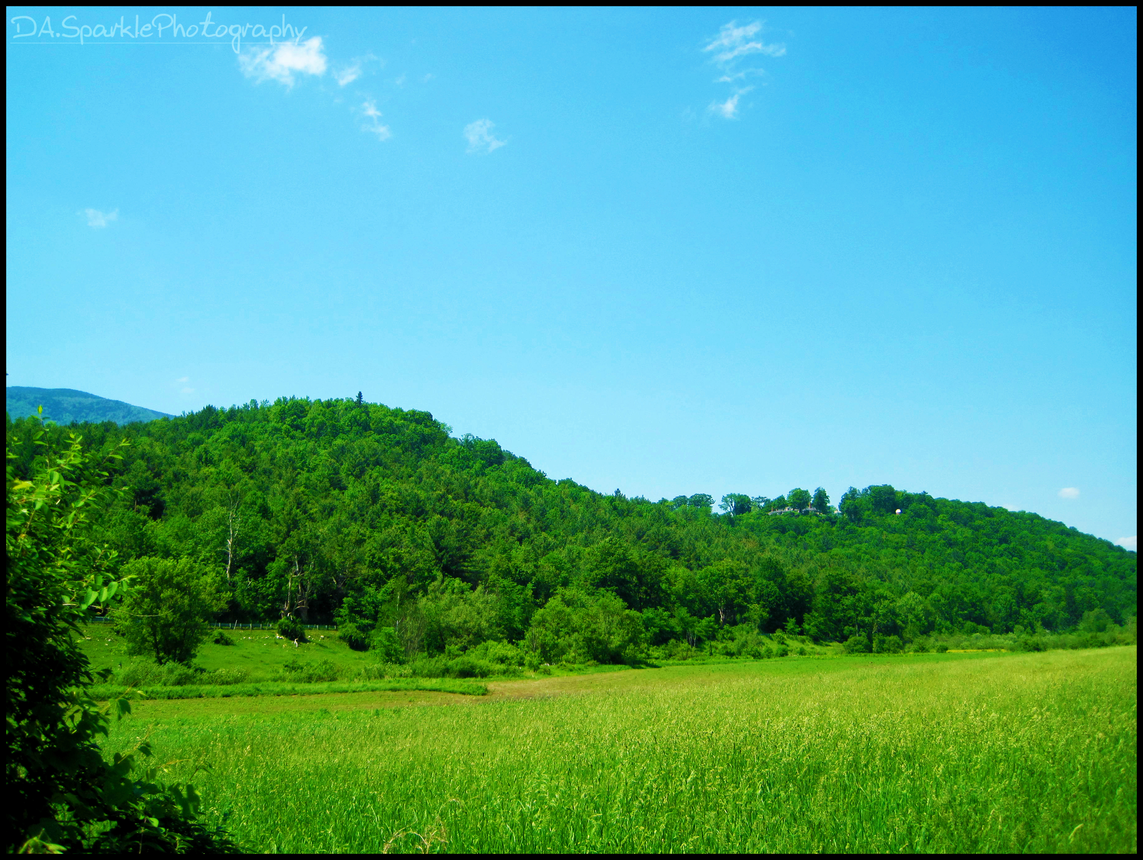 Rolling Hills.