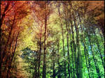 In The Forest. by Sparkle-Photography
