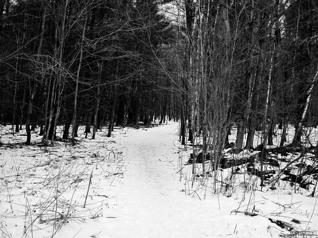 One Way Path. by Sparkle-Photography on DeviantArt