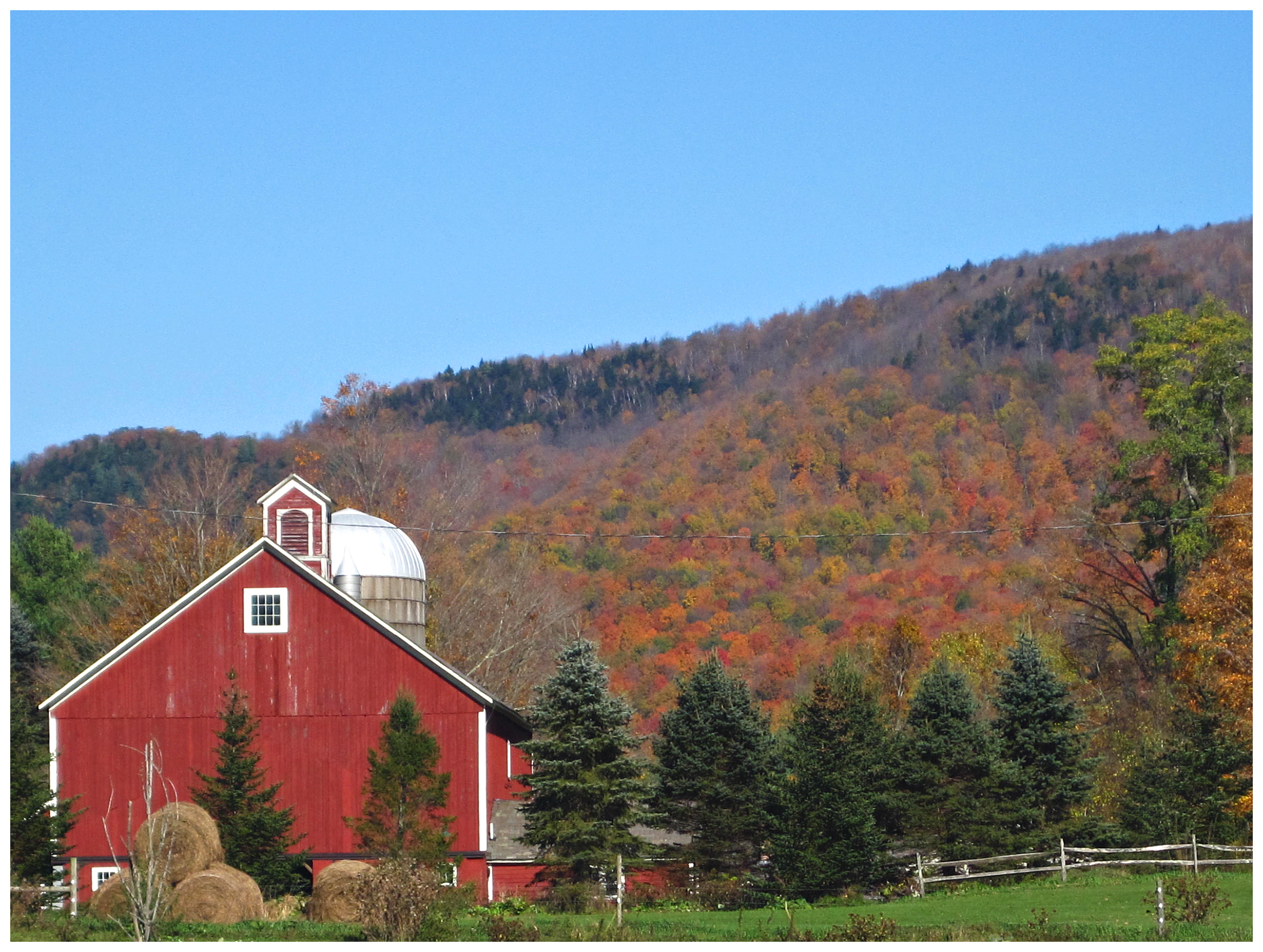 Fall Foliage Series #14.