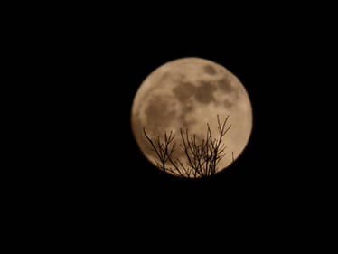 Supermoon 2018 #2.