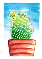 Cactus