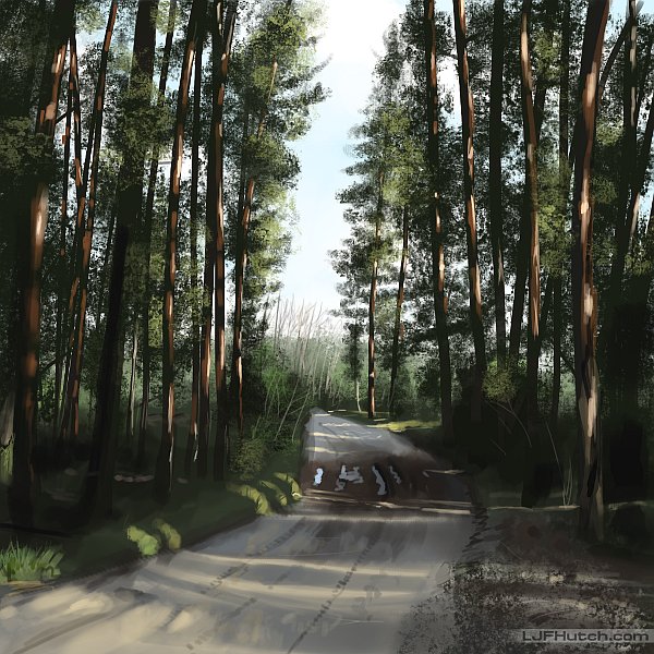 Study - Forest Road