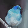 Blue bird.