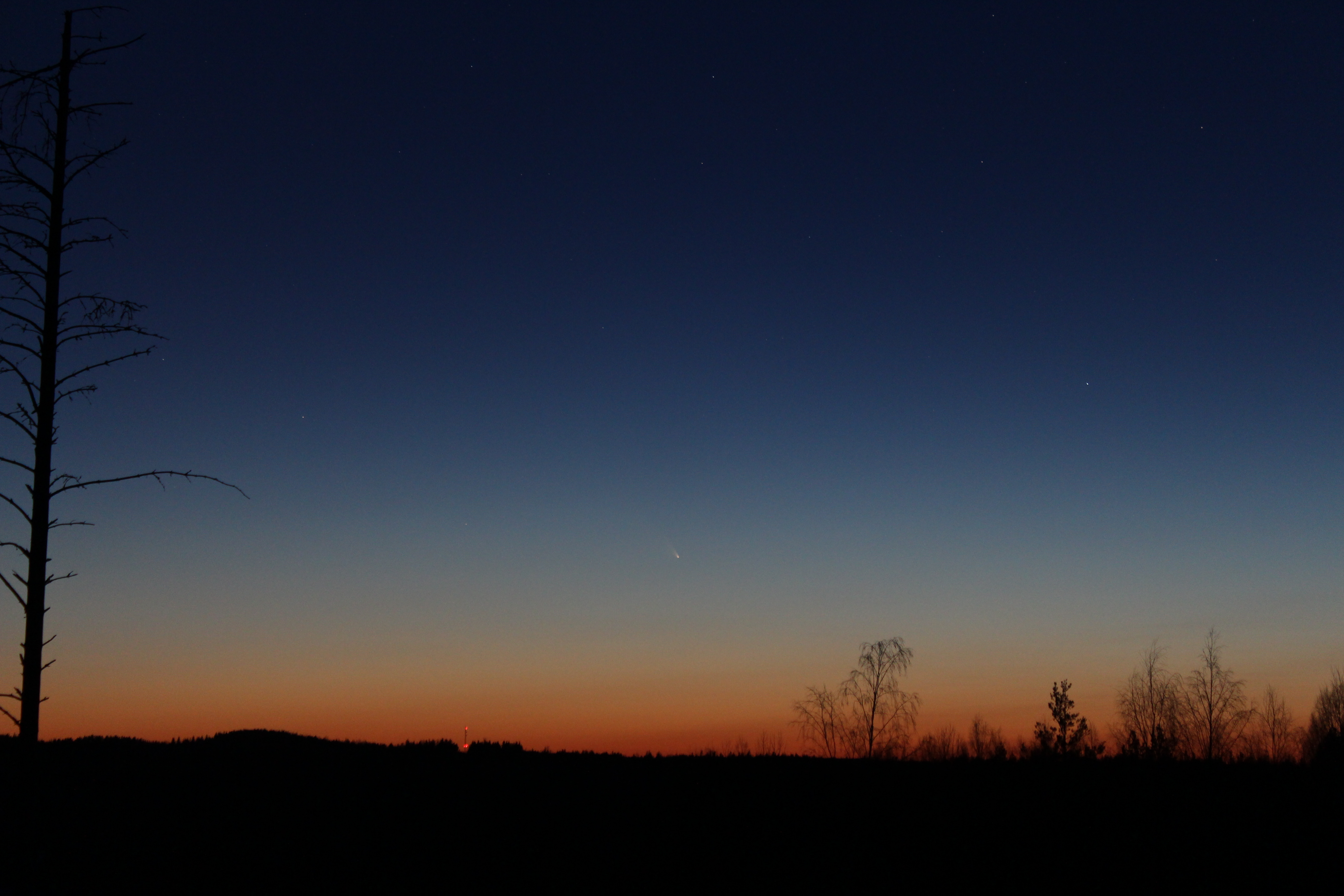 Comet Panstarrs