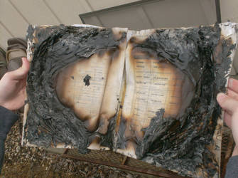 Burning of the Chemistry Book