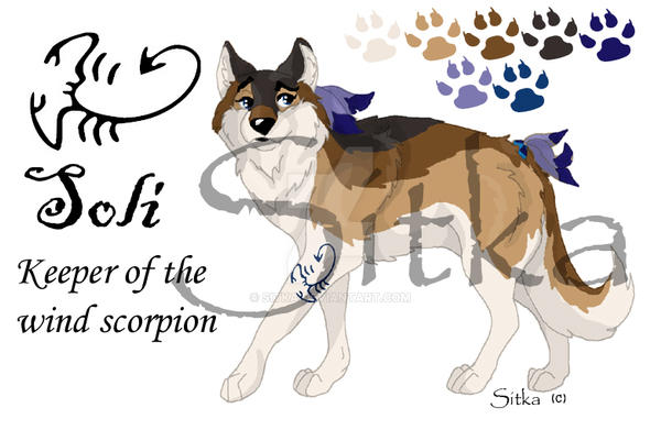Ref Sheet Example-Simple by Sitka on DeviantArt