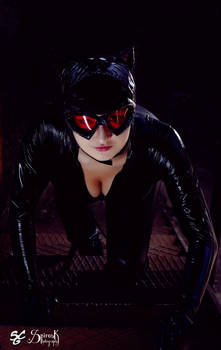 Catwoman Arkham City