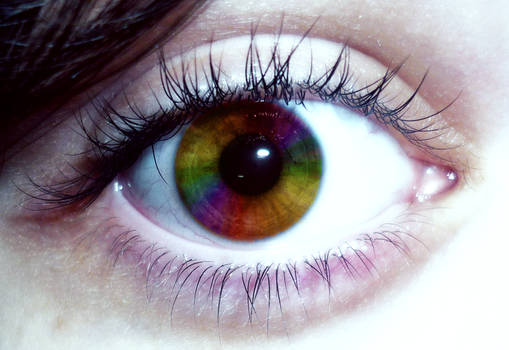 My Eye