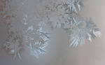 frost pattern