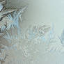 frost pattern 5