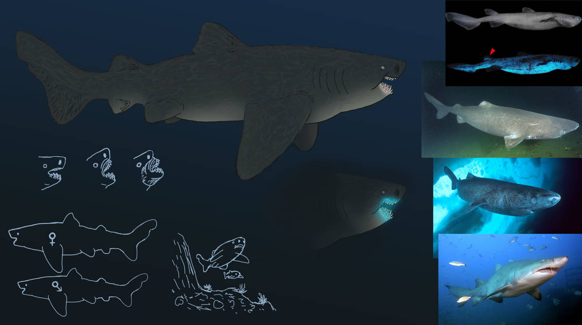 Spec Meg Ref Sheet By Timoshauru5 VII On DeviantArt