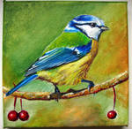 Blue tit Blaumeise Keek cinege by IronAries