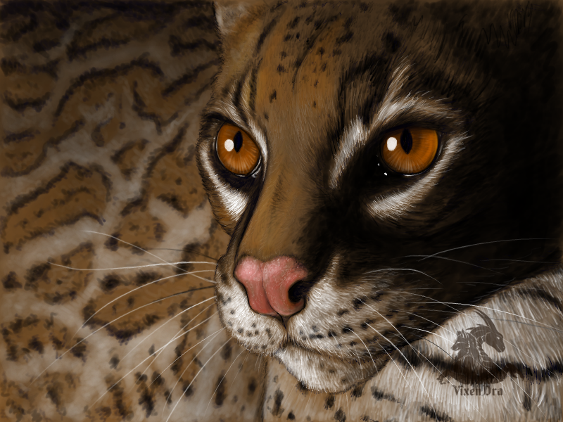 Ocelot (digitally painted)