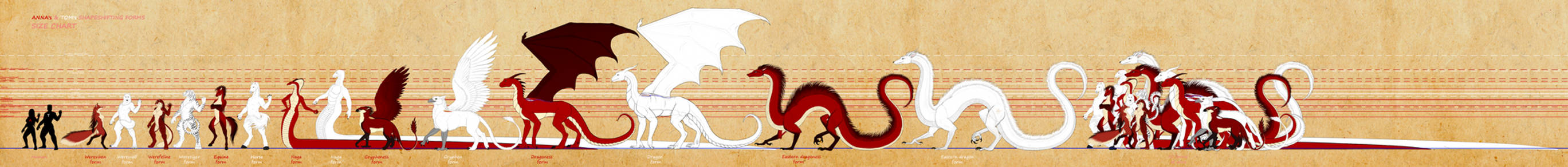 Official forms of Anna and Tom-SIZE CHART by VixenDra Official forms of Anna and Tom-SIZE CHART by VixenDra