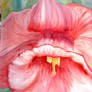 Watercolor Flower
