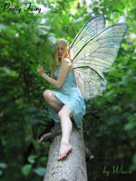 Pretty Fairy Version II