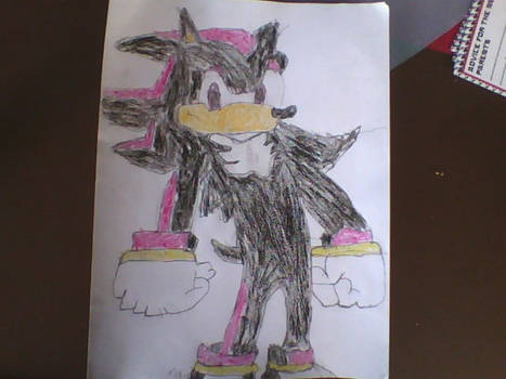 Shadow the Hedgehog