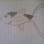 Goldfishie sketch