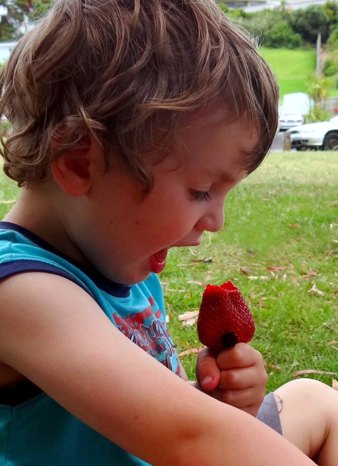 Strawberry Feast