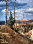 Bryce Canyon, Utah by emwtaylor