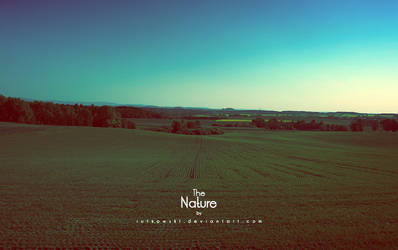 The Nature_3
