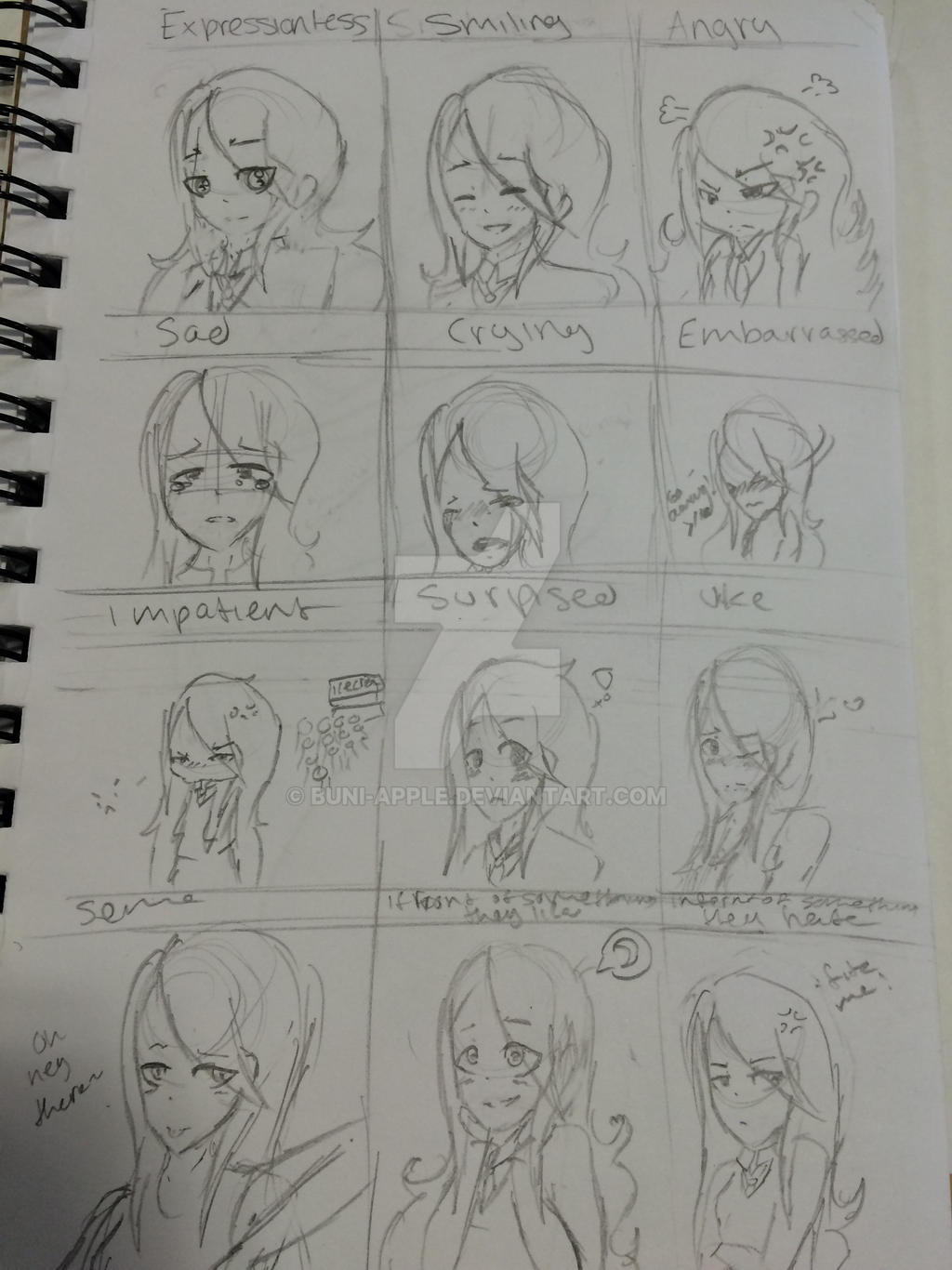 Emotion chart oc by buniapple on DeviantArt